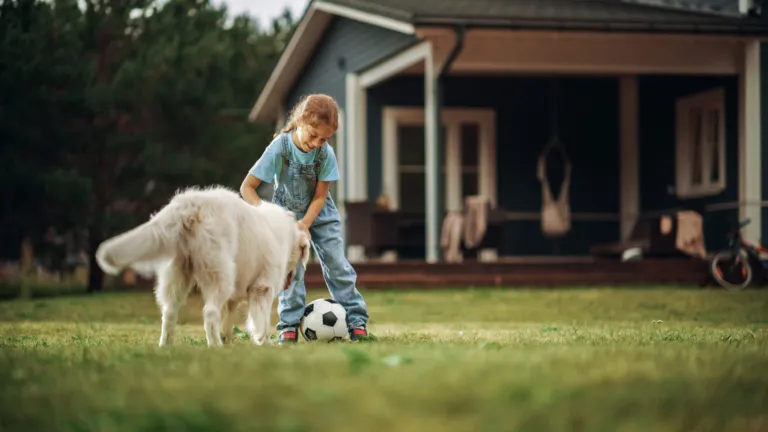 Dog and child on lawn after pest control from Lawn Ranger