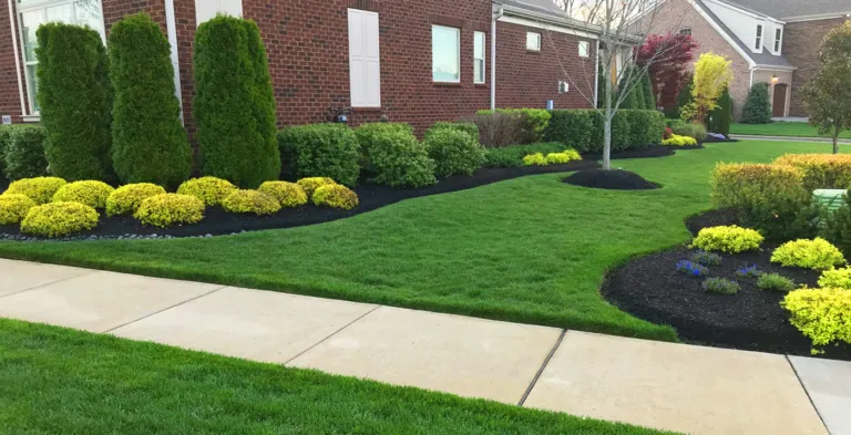 Lush green lawn with landscaping shrubs and mulch from The Lawn Ranger